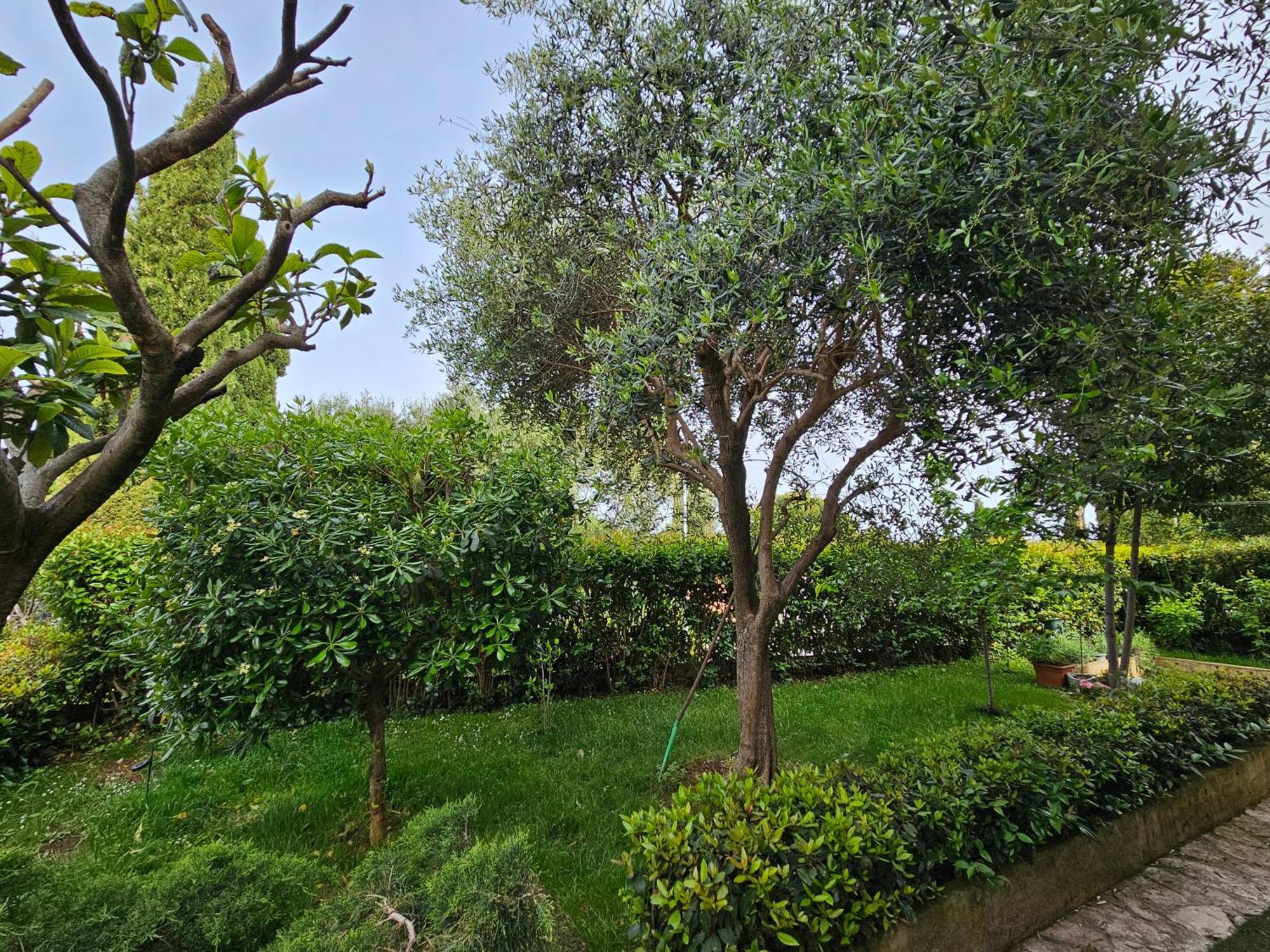 Zita - Heart Of Rovinj, Apartment For 2, Free Parking, 2Min Center, 5Min Beach Walk מראה חיצוני תמונה